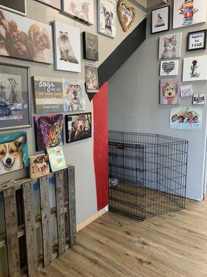 Nose To Tail Pet Grooming