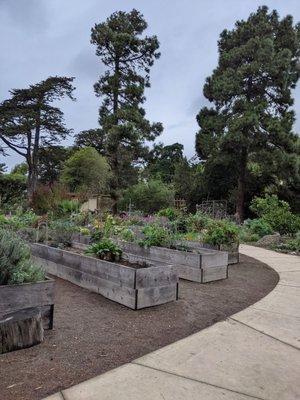 Golden Gate Park Community Garden
