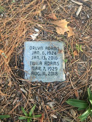 Episcopal Church All Saints