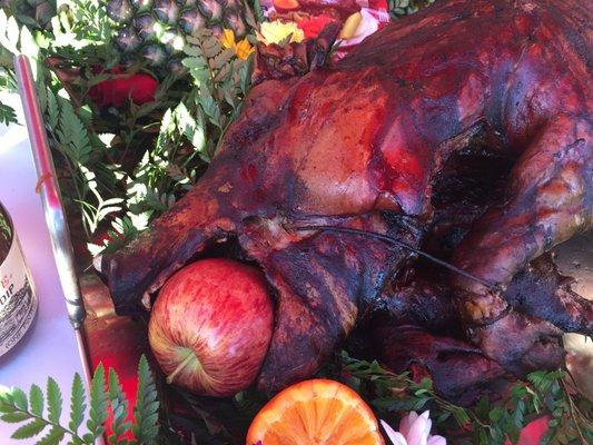 WNIN Public Media Center