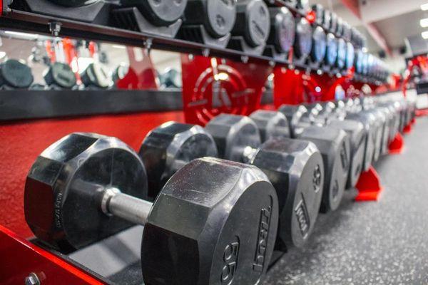 Free Weights at 51 Fitness