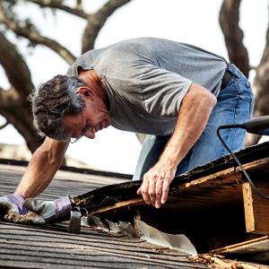 Arielle Contracting Services