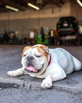 Wreck Center Auto Body Collision Repair Specialists