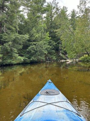 Northwoods Resort