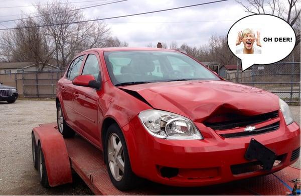 Matchmaster of Jackson