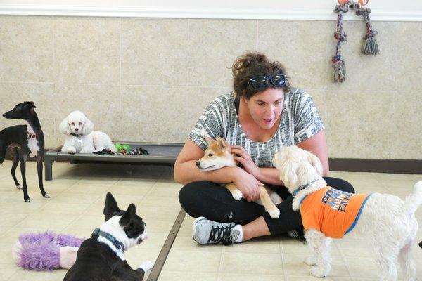 Torrance Dog Grooming & Training