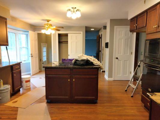 Dickson & Son Painting