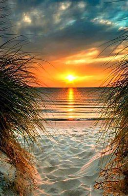 Millennium Travel Agency