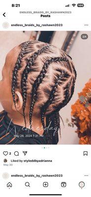 Endless Braids By Rashawn