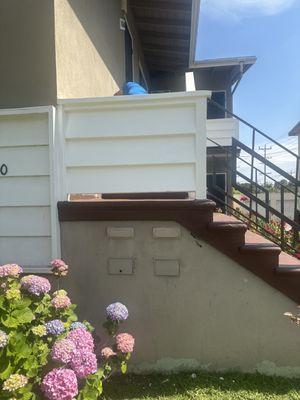 Doctor house handy man