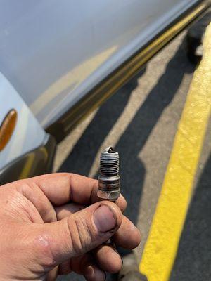 Neighborly Mechanics
