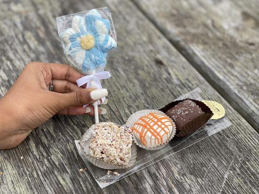 Mendocino Chocolate Company