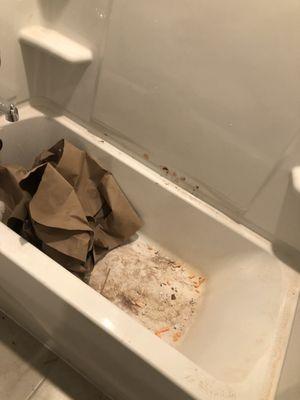 Cleaning Pro