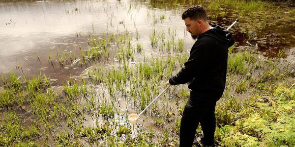 Monterey County Mosquito Abatment District