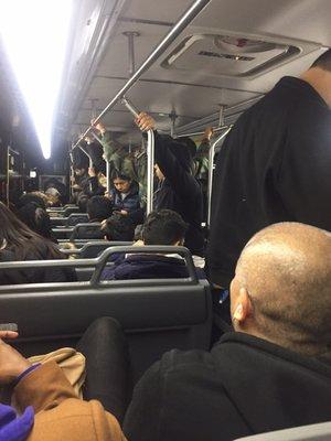 This is the bus crowd level on a good day. :(