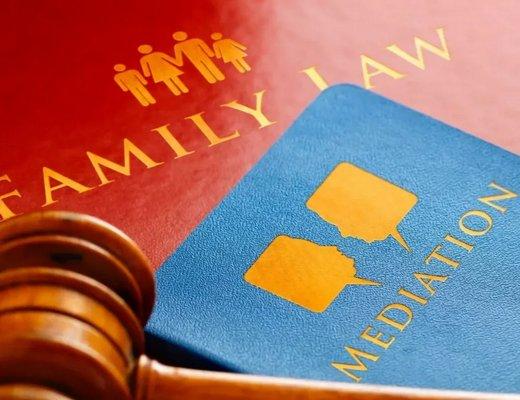 Viktoria Amini Divorce Mediator