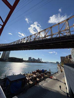 East River Esplanade Dog Run aka Andrew Haswell Green Dog Run
