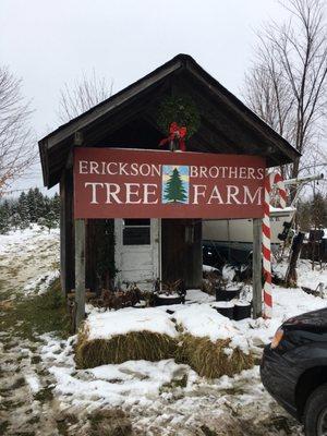 Erickson Bros Tree Farm