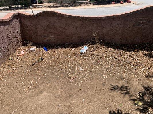 Closer look at the corner of the front yard.