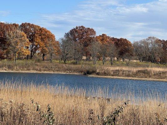 Celebrating a 68 degree day in November
