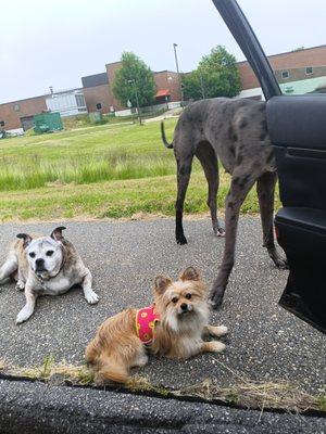 Liberty Mutual Group