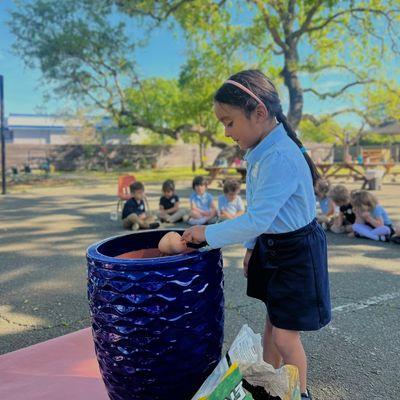 Little Wildflowers Preschool