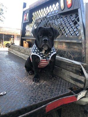 The Family Pet Boutique