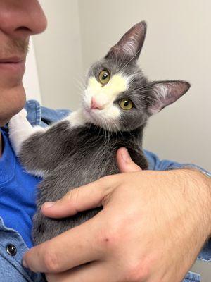 Huntsville Veterinary Specialists & Emergency