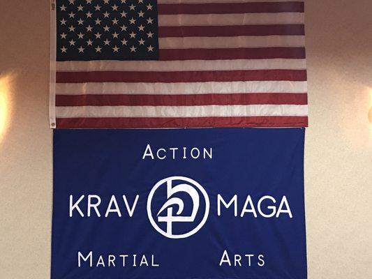 Action Martial Arts - Krav Maga Lessons and Training
