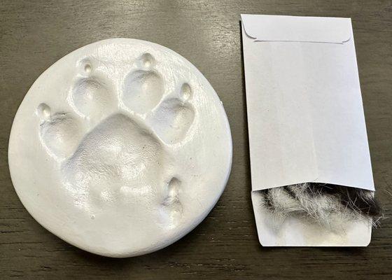 Green Pet Funeral Home and Crematory