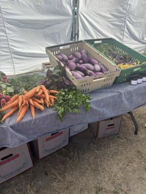 Stand at Delridge Farmers Market
