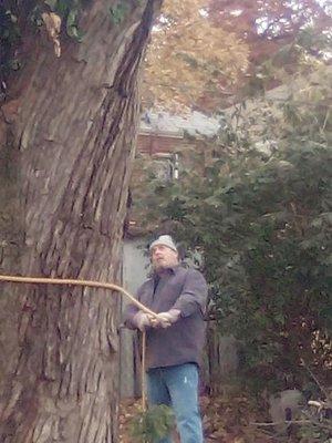 Acacia Tree Service