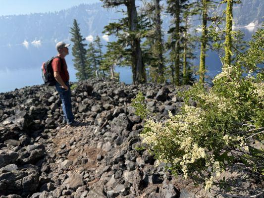 Trail to Fumarole Bay