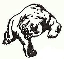 "We're A Bear on Dirt"