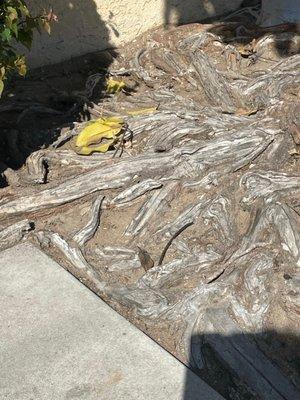 J & N Realty Property Management