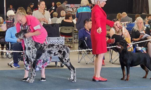 Yuma County Fairgrounds