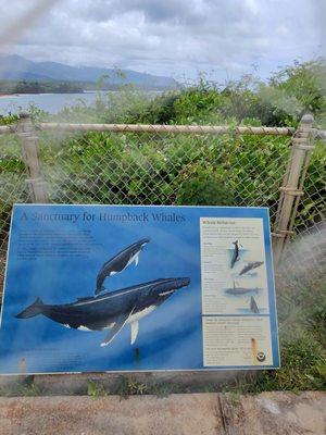 Information panels along the walk to the lighthouse