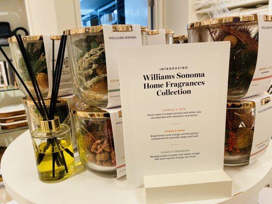 Williams-Sonoma