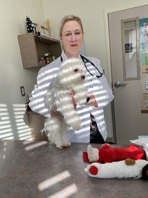 Animal Medical Center of Troy