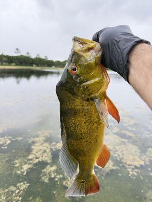 BJ's Bait and Tackle Shop