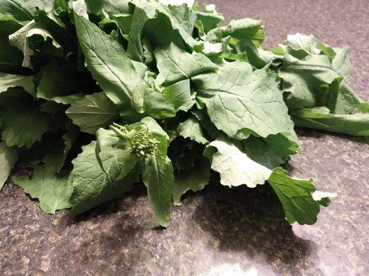 Malench Farm Market