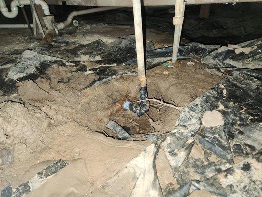 Action-Lane Plumbing