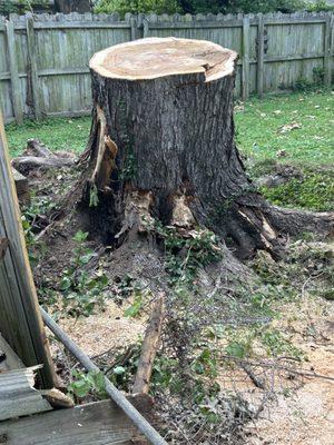 Abercrombie Tree Service Plus