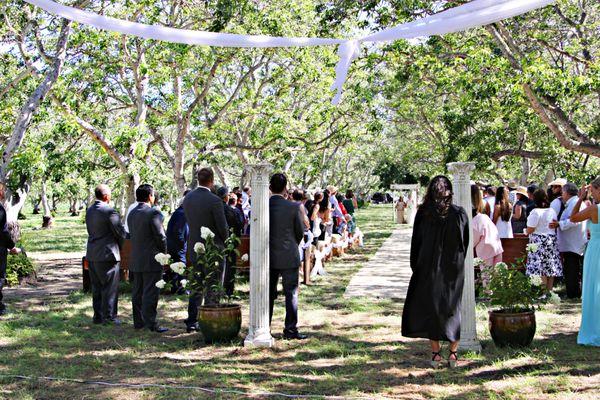 Cynthia Signorelli Special Events