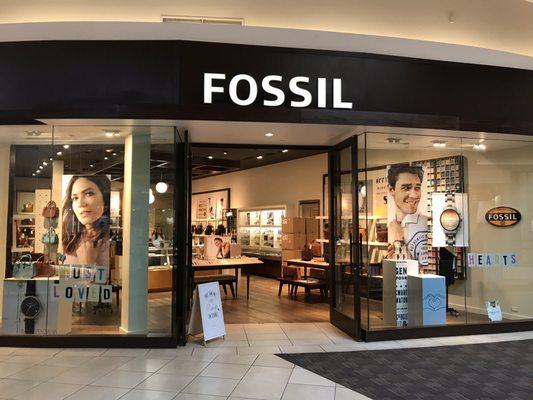 Fossil Store