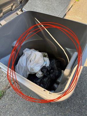 Arrow Sanitary Service