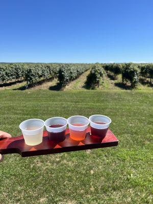 Penn Shore Winery and Vineyards