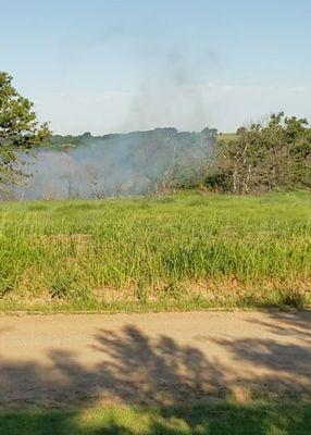 Herbicide chemical drift from aerial spraying June 2020.