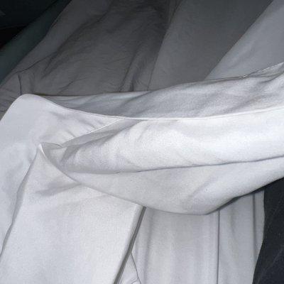 No comforter or blanket of any sort, just sheets.