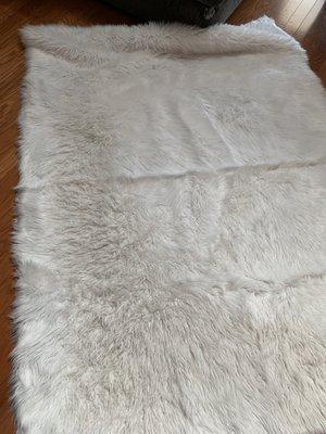 Rug is still dirty looking